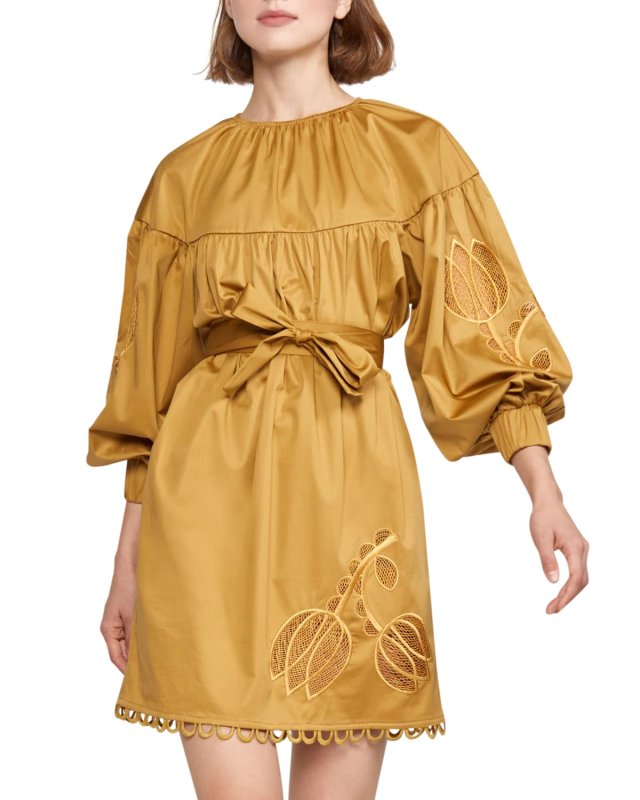 Tulip Lace-Embroidered Dress